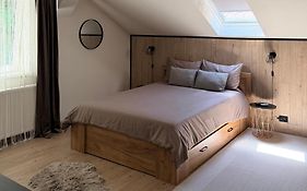 Villa Tampa - Free Parking In The Old Town Brasov